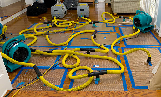 Professional Crawl Space Water Removal technician working in Sutton, MA